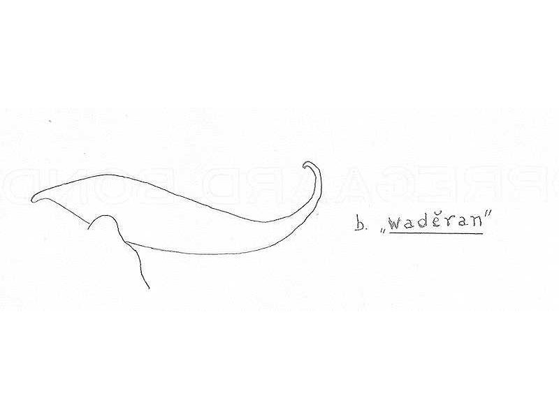 -sumping waderan